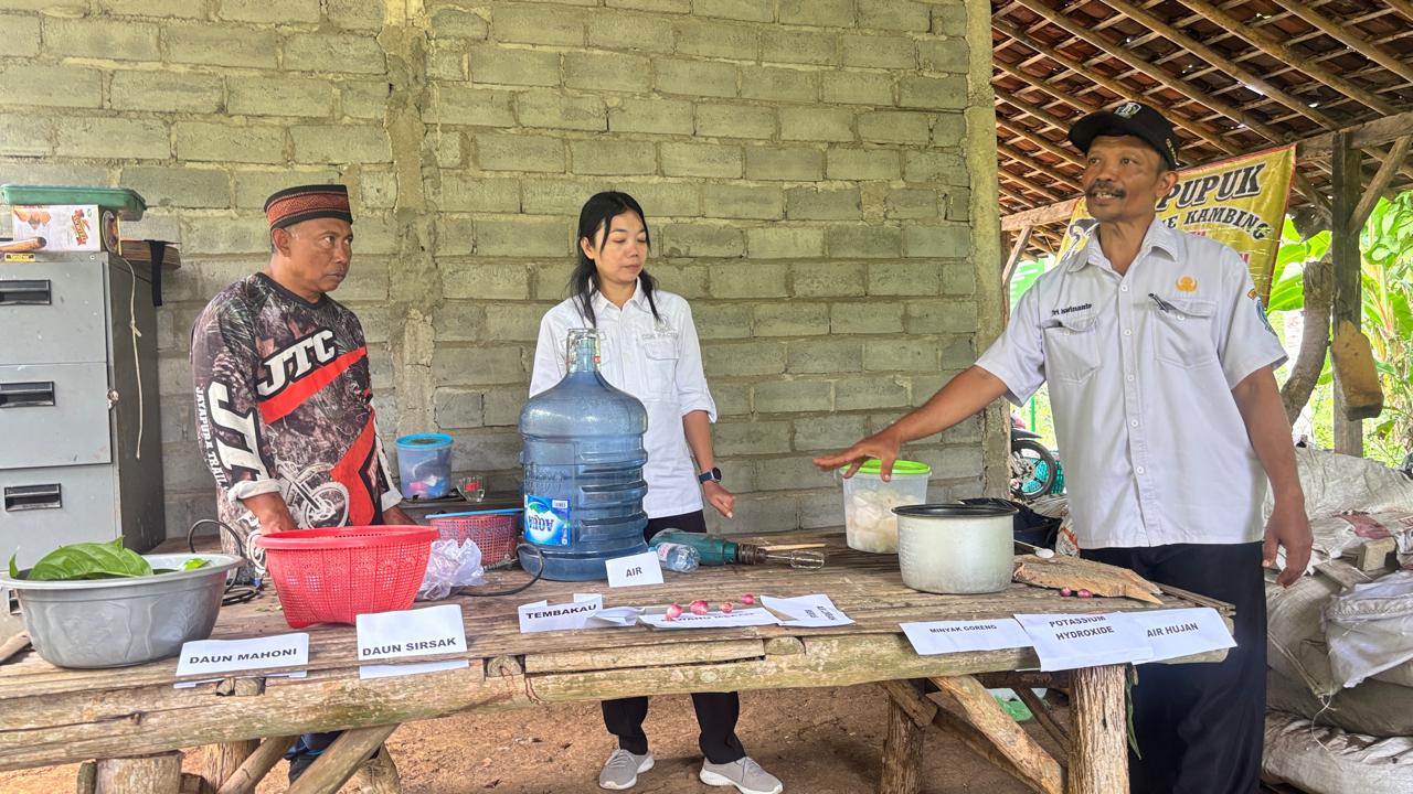 LARUTAN  HERBAL DALAM SATU PAKET APLIKASI 3in1 BAGI PERTUMBUHAN TANAMAN